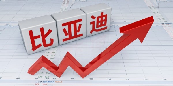 比亞迪刀片電池已供應特斯拉 ：車輛最快8月底下線