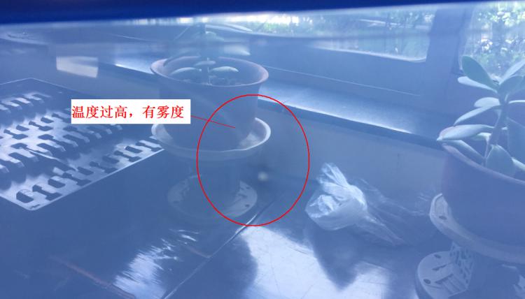 注塑製品質量缺陷分析（六）造成製品表麵有霧度的主要原因是什麽？