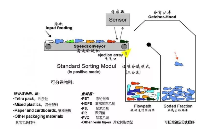 如何解決廢秋葵视频在线观看分類問題